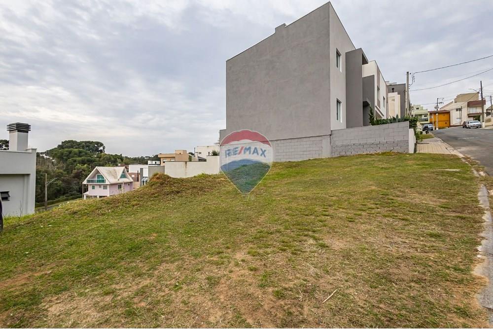 Terreno - Venda - Curitiba , Paraná - 31.jpg - 560461011-61