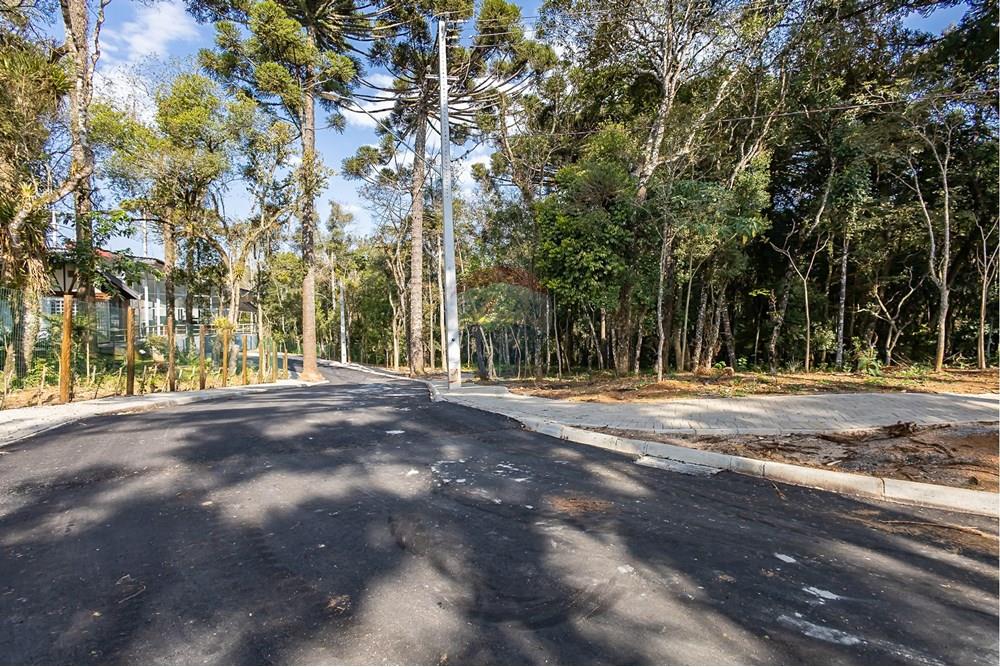 Casa de Condomínio - Venda - Curitiba , Paraná - IMG_6319.jpg - 560431033-13