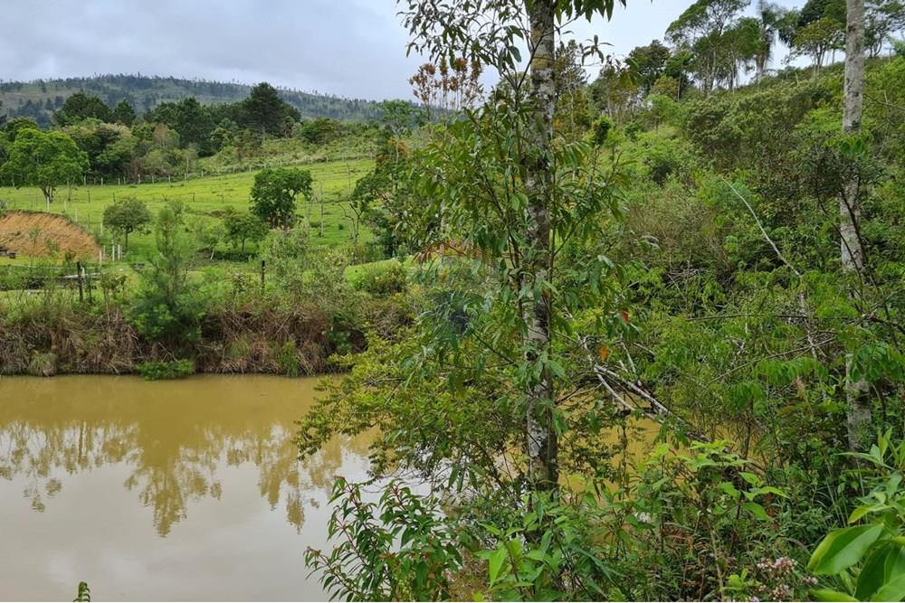 Chácara / Sítio / Fazenda - Venda - Tijucas do Sul , Paraná - f0e7b8c0-0030-4fb8-9489-cf89b2ec4b01.jpeg - 560391051-16