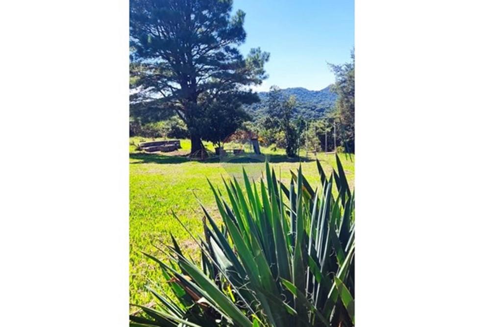 Chácara / Sítio / Fazenda - Venda - São José dos Pinhais , Paraná - 6.jpeg - 560331080-8