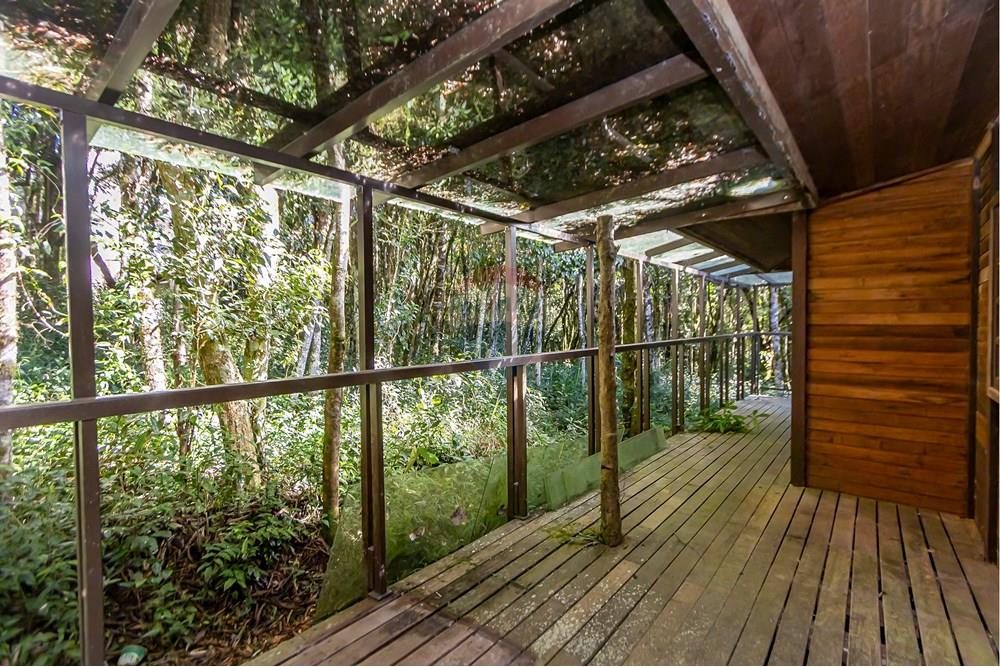 Chácara / Sítio / Fazenda - Venda - Piraquara , Paraná - IMG_3625_1.jpg - 560431012-39