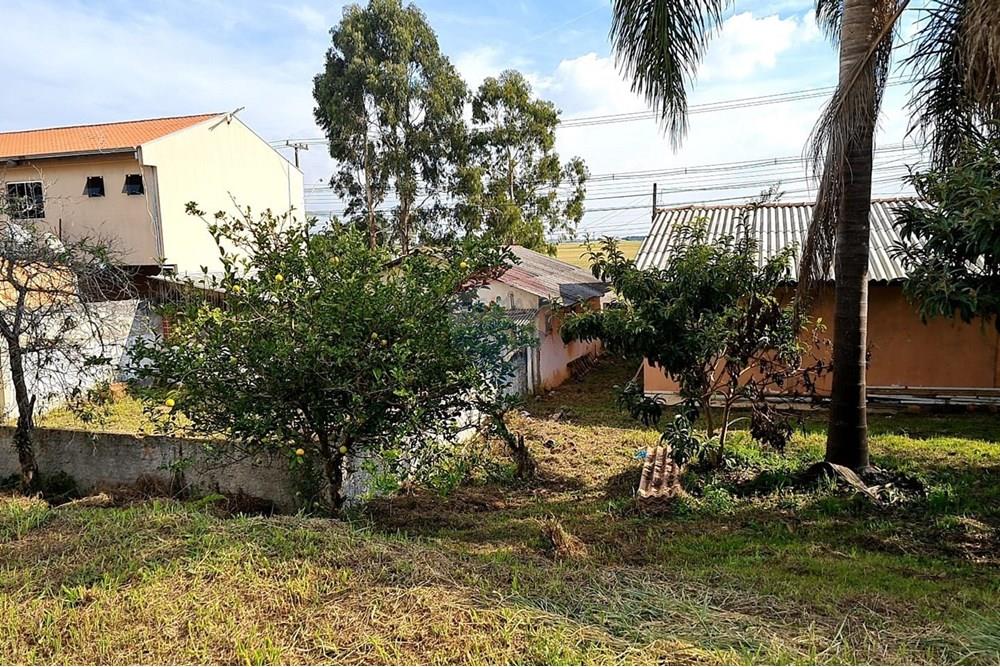 Terreno - Venda - São José dos Pinhais , Paraná - 72b1c87f-a43b-4dc4-915b-9a4527091f3a.jpeg - 560391051-19