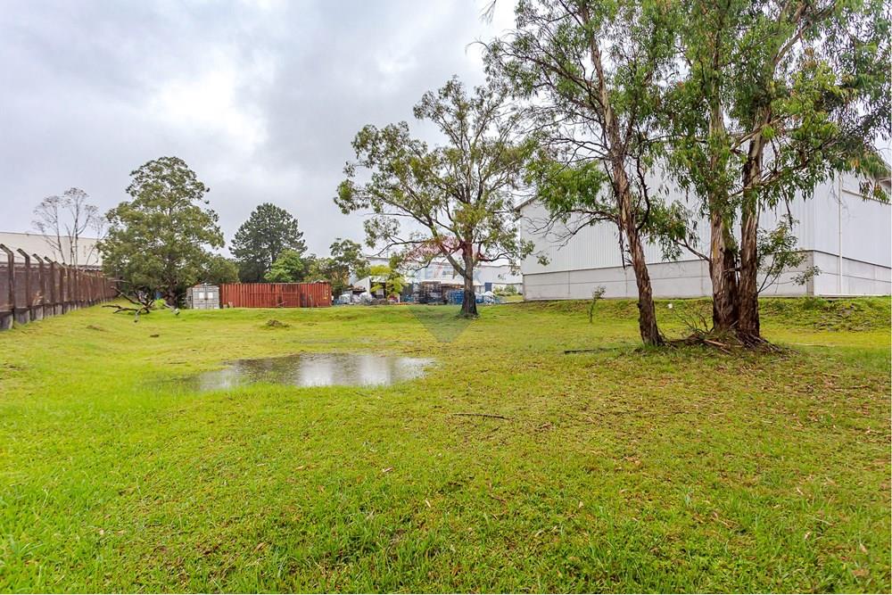 Galpão - Alugar - Curitiba , Paraná - IMG_2221.jpg - 560251029-57