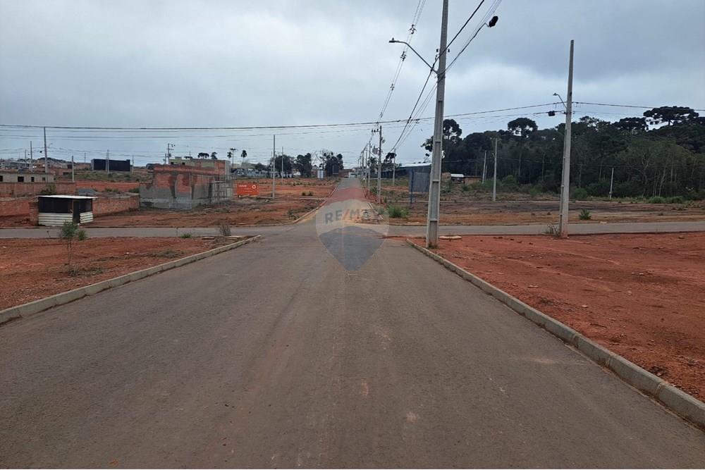 Terreno - Venda - Fazenda Rio Grande , Paraná - WhatsApp Image 2025-08-29 at 19.18.57.jpeg - 560441032-9