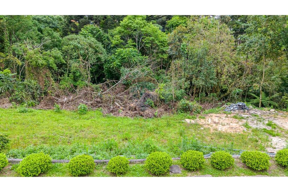 Terreno - Venda - Curitiba , Paraná - DJI_20251106100048_0009_D.jpg - 560321058-109