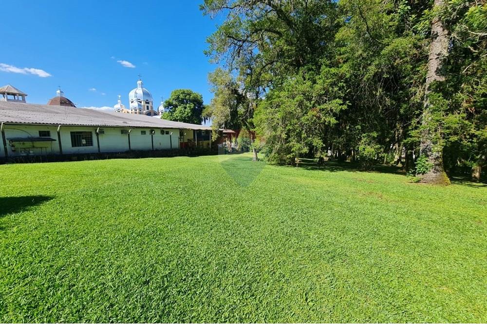 Casa Comercial - Alugar - São José dos Pinhais , Paraná - 1188b092-fa5d-48f9-b47e-ab6a34e9b960.jpeg - 560331128-18