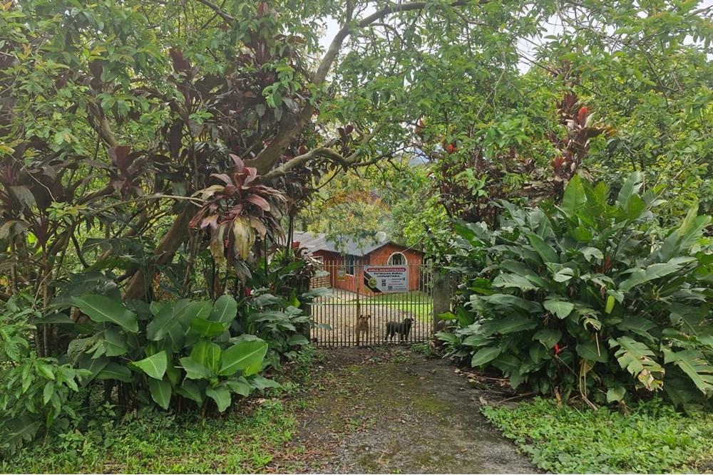 Chácara / Sítio / Fazenda - Venda - Guaratuba , Paraná - IMG-20251026-WA0013.jpg - 560321090-38