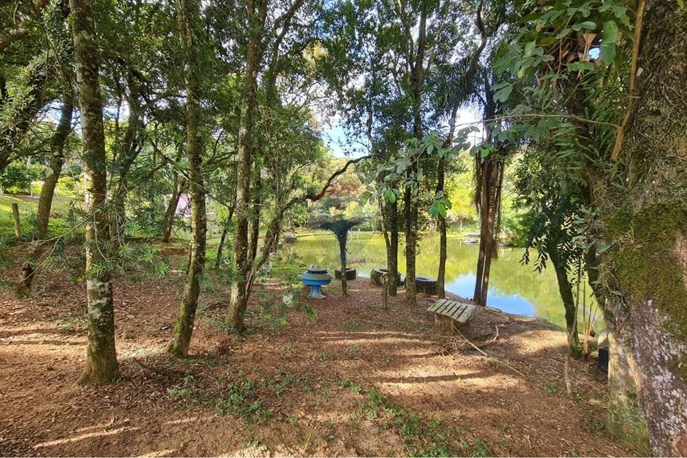 Galpão - Venda - São José dos Pinhais , Paraná - 977e52be-f966-4ef6-ae9d-80fa3e294b7a.jpeg - 560331128-20