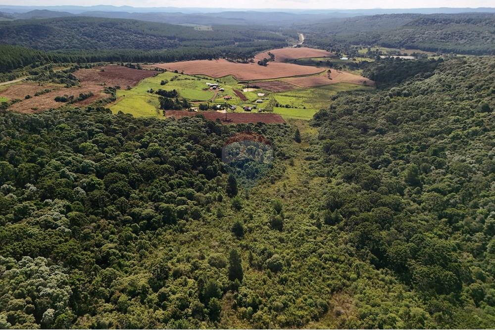 Terreno - Venda - Calmon , Santa Catarina - Sentido Matos Costa.JPG - 560351109-12