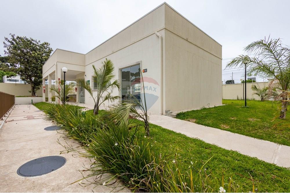 Apartamento - Alugar - Curitiba , Paraná - IMG_0121.jpg - 560251018-318