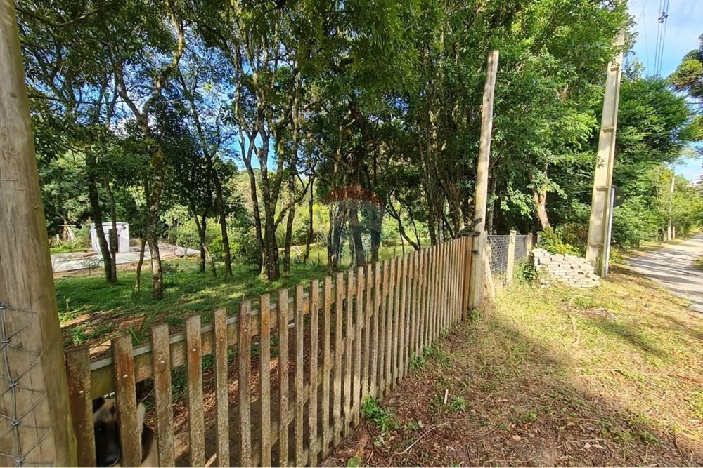 Galpão - Venda - São José dos Pinhais , Paraná - 0c9c6867-7d84-44bc-9bba-9a4fb18ca7d1.jpeg - 560331128-20