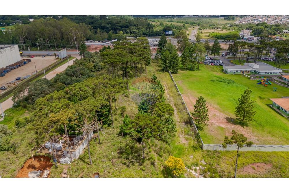 Terreno - Venda - São José dos Pinhais , Paraná - DJI_20250227133119_0572_D.jpg - 560351069-35
