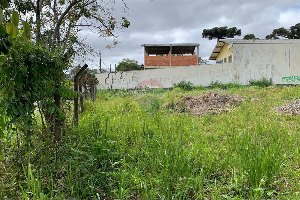 Terreno - Venda - Curitiba , Paraná - 8.jpg - 560461019-13
