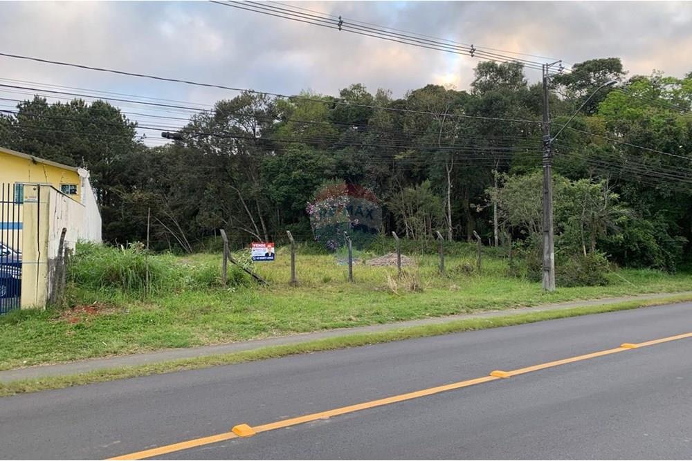Terreno - Venda - Curitiba , Paraná - 6.jpg - 560461019-13