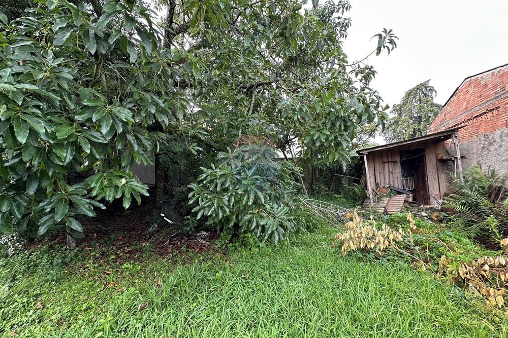 Casa - Venda - São José dos Pinhais , Paraná - IMG_3425.JPG - 560251041-62