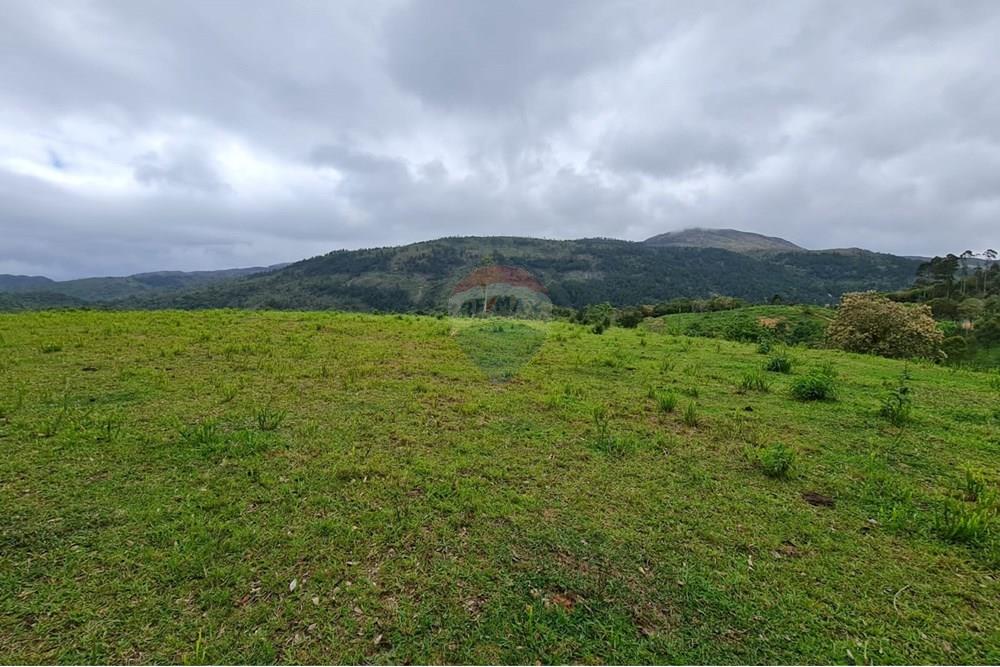 Chácara / Sítio / Fazenda - Venda - Tijucas do Sul , Paraná - e59a466a-7947-42c3-b818-eaed67027251.jpeg - 560391051-16