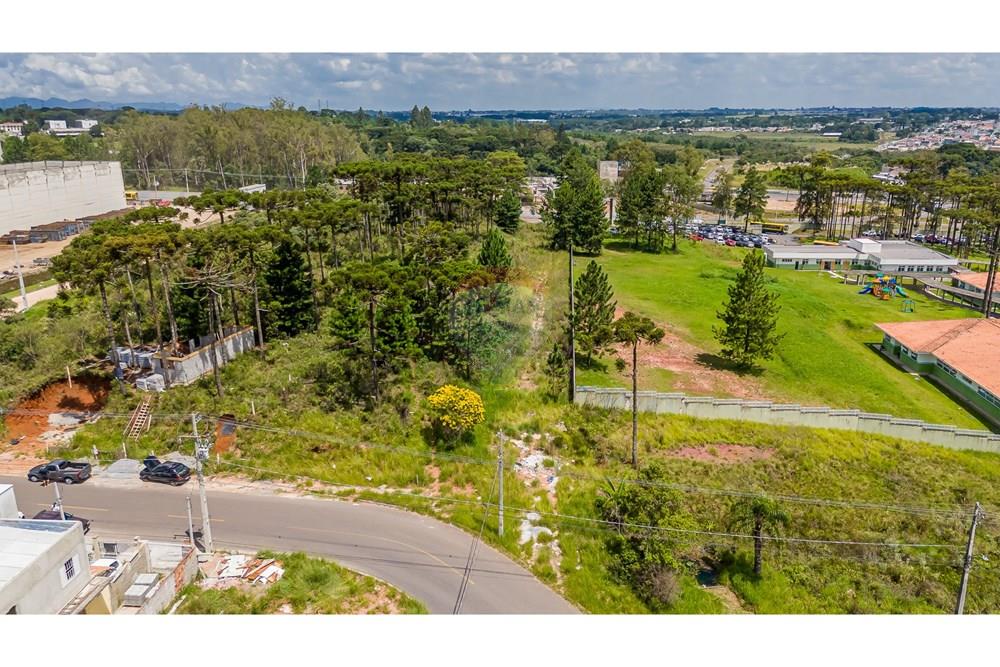 Terreno - Venda - São José dos Pinhais , Paraná - DJI_20250227131958_0527_D.jpg - 560351069-35