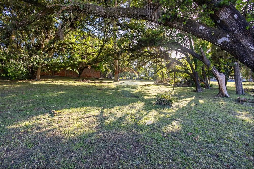 Terreno - Venda - Colombo , Paraná - IMG_9247.jpg - 560321090-43