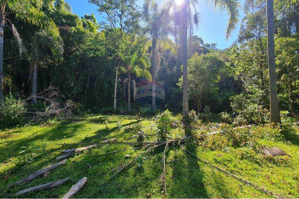 Chácara / Sítio / Fazenda - Venda - Tijucas do Sul , Paraná - ffb12797-af96-42a7-90d4-ffc42491360b.jpeg - 560391051-20