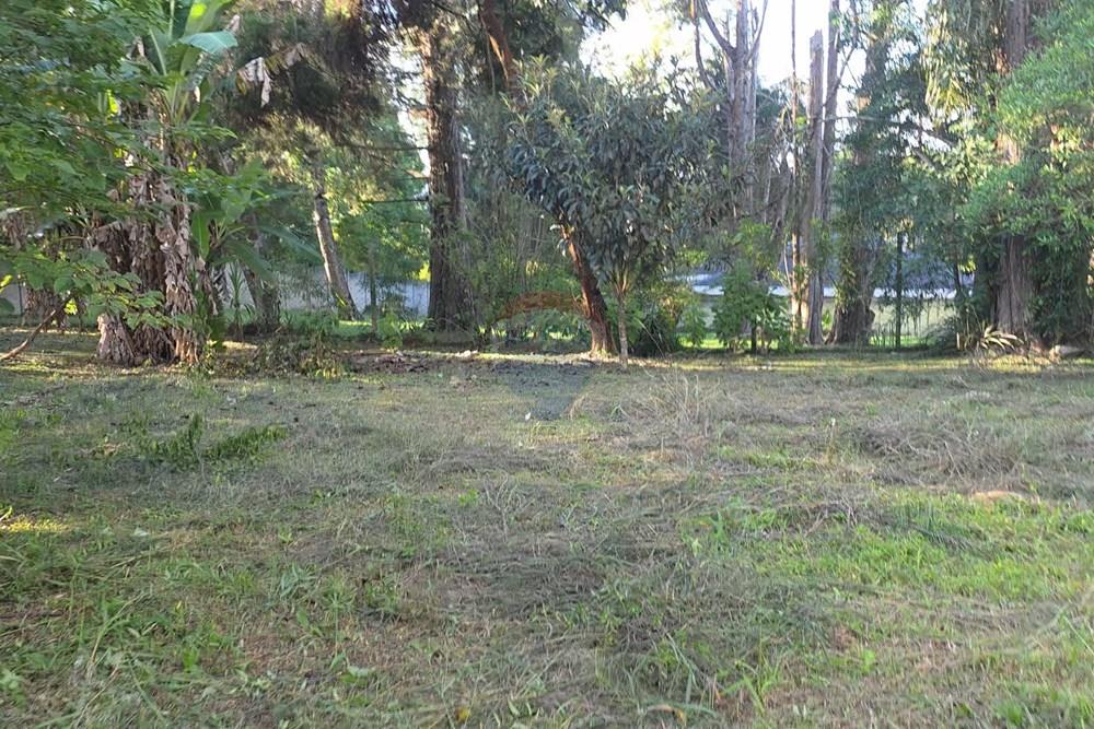 Terreno - Venda - Pinhais , Paraná - 4.jpg - 560501001-19