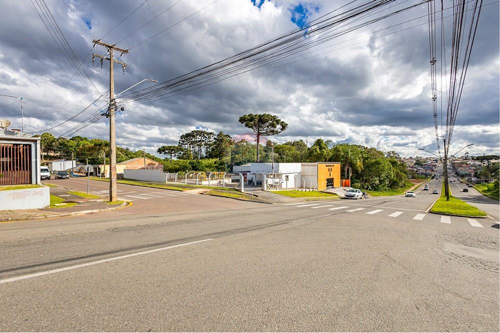 Terreno - Venda - Araucária , Paraná - IMG_2766.JPG - 560491002-21