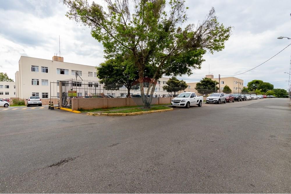 Apartamento - Venda - Curitiba , Paraná - IMG_2135.jpg - 560311077-6