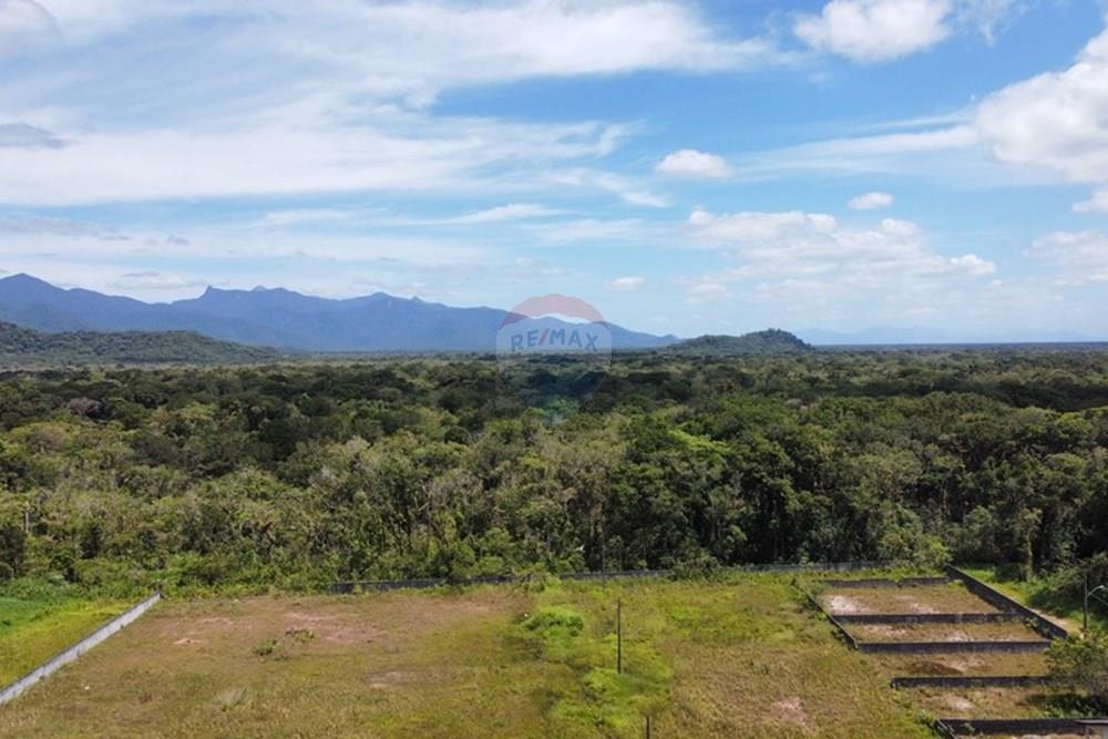 Terreno - Venda - Matinhos , Paraná - dji_fly_20251206_101222 AM_951_1765026867291_photo_optimized.jpeg - 560221060-9