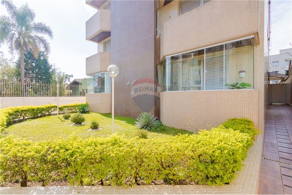 Apartamento - Alugar - Curitiba , Paraná - 56 - 560411052-121