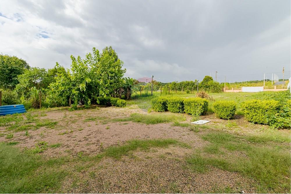 Chácara / Sítio / Fazenda - Alugar - Fazenda Rio Grande , Paraná - IMG_9374.jpg - 560391075-16