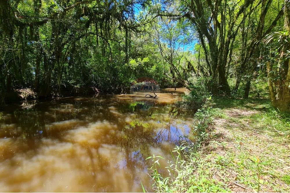 Chácara / Sítio / Fazenda - Venda - São José dos Pinhais , Paraná - 7ca393d2-6a5c-4b45-aa0d-0a3394f1caf6.jpeg - 560331128-24