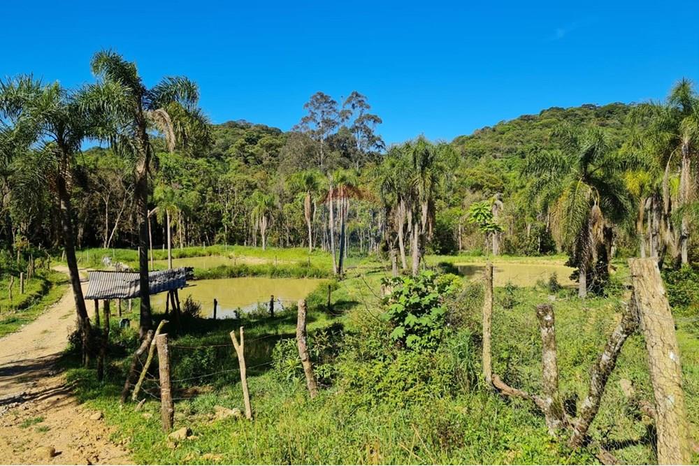 Chácara / Sítio / Fazenda - Venda - Tijucas do Sul , Paraná - b413f495-804e-472e-a27d-cd72130edeb6.jpeg - 560391051-20