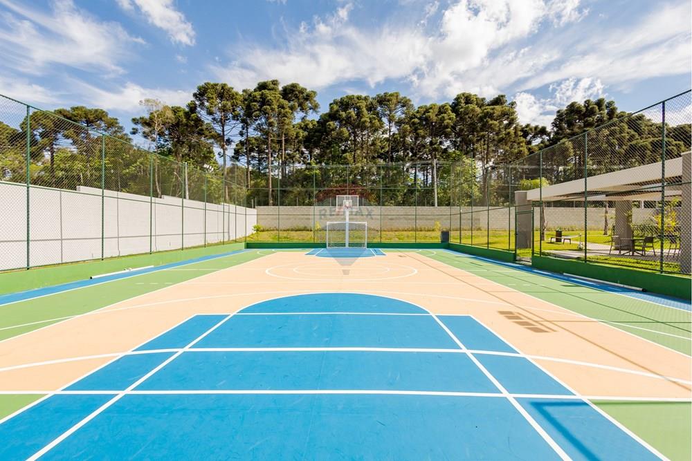 Terreno - Venda - São José dos Pinhais , Paraná - IMG_2779.jpg - 560351163-5