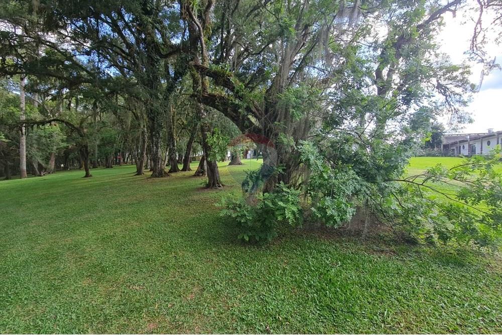 Casa Comercial - Alugar - São José dos Pinhais , Paraná - 43dafe5f-23b2-4f58-8c19-b4efabb74843.jpeg - 560331128-18