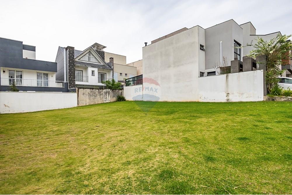 Terreno - Venda - Curitiba , Paraná - IMG_3226_1.jpg - 560341097-93