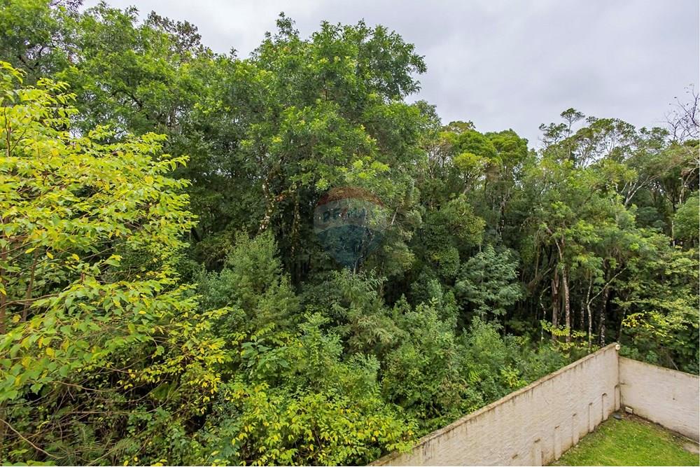 Apartamento - Venda - Almirante Tamandaré , Paraná - IMG_9473_1.jpg - 560341161-21