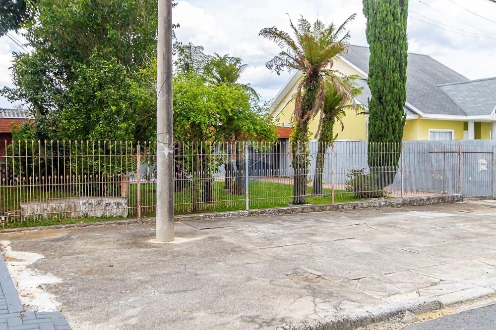 Terreno - Venda - Curitiba , Paraná - IMG_2989_1.jpg - 560331069-87