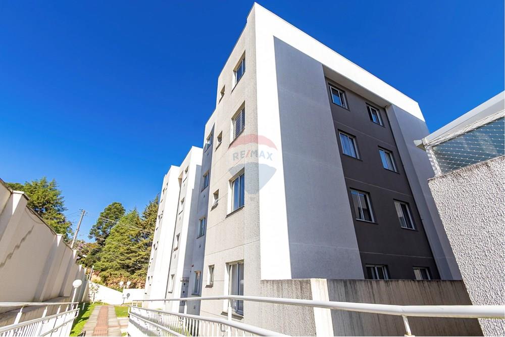 Apartamento - Venda - São José dos Pinhais , Paraná - IMG_2419_1.jpg - 560431004-33