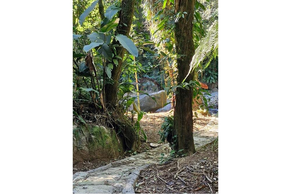 Chácara / Sítio / Fazenda - Venda - Guaratuba , Paraná - IMG-20251007-WA0139.jpg - 560321090-38