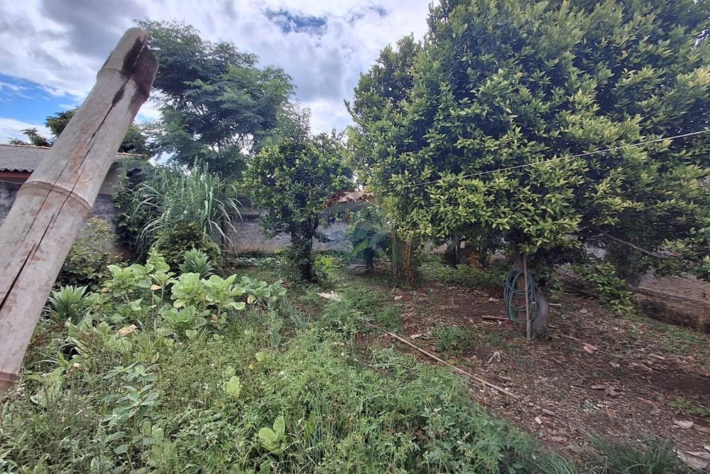 Terreno - Venda - Araucária , Paraná - 20260111_151444.jpg - 560491002-26