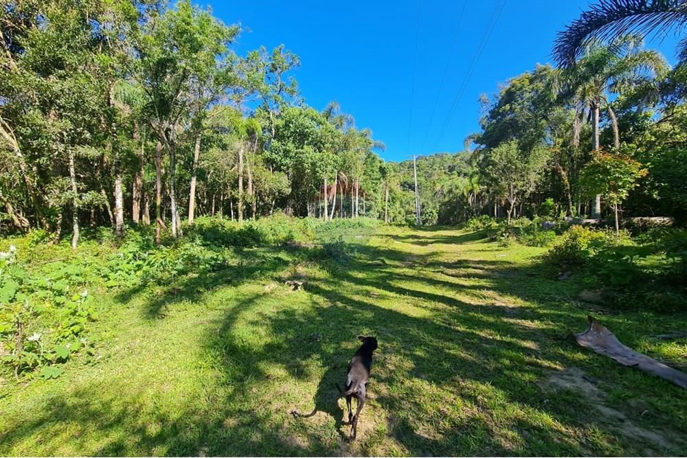 Chácara / Sítio / Fazenda - Venda - Tijucas do Sul , Paraná - 3c263fad-d64a-4a51-a75a-6ff327c552e8.jpeg - 560391051-20