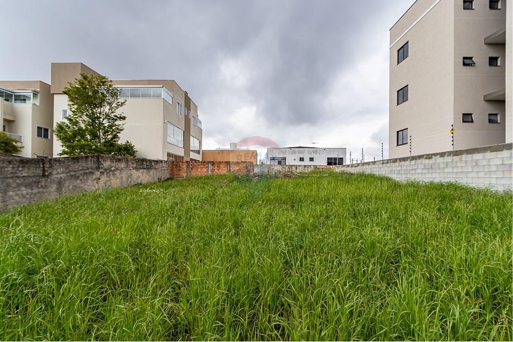 Terreno - Venda - Pinhais , Paraná - IMG_4916.jpg - 560311065-16