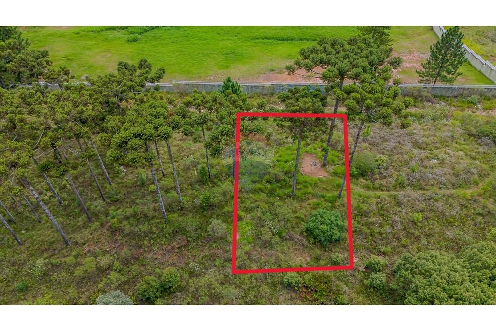 Terreno - Venda - São José dos Pinhais , Paraná - DJI_20250227132758_0561_D.jpg - 560351069-35