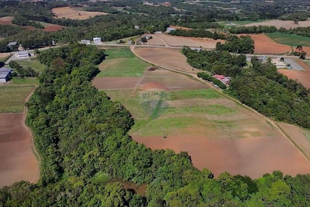 Chácara / Sítio / Fazenda - Venda - São José dos Pinhais , Paraná - WhatsApp Image 2025-12-15 at 11.22.18 (2).jpeg - 560321160-2