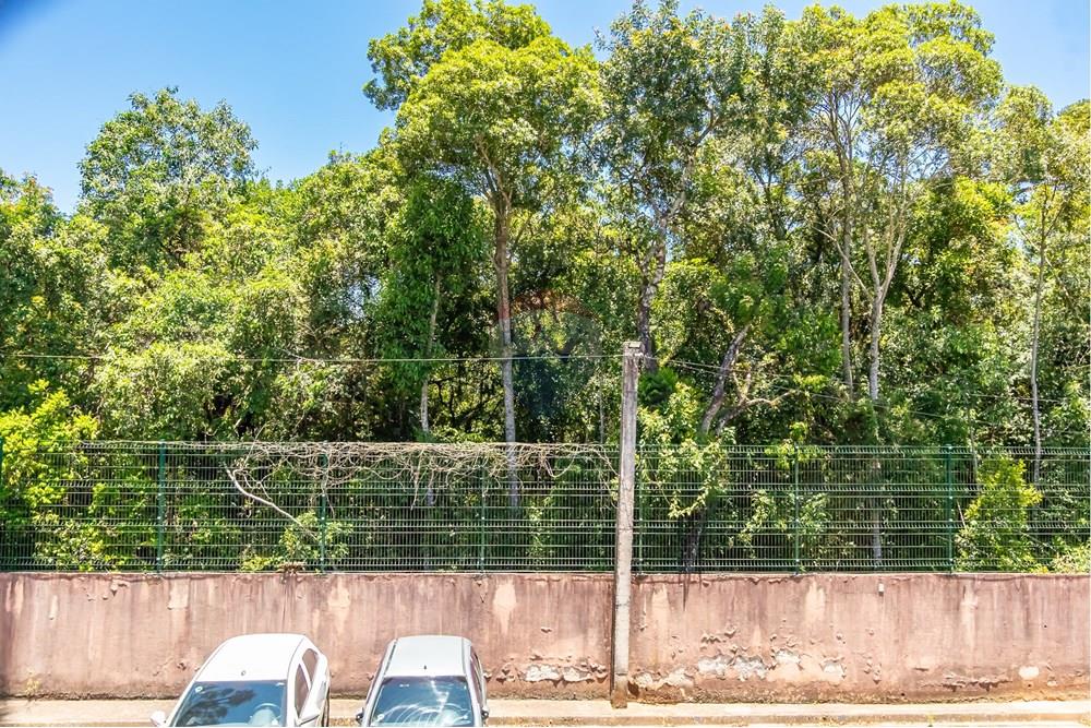 Apartamento - Venda - Curitiba , Paraná - IMG_8287.jpg - 560351106-43