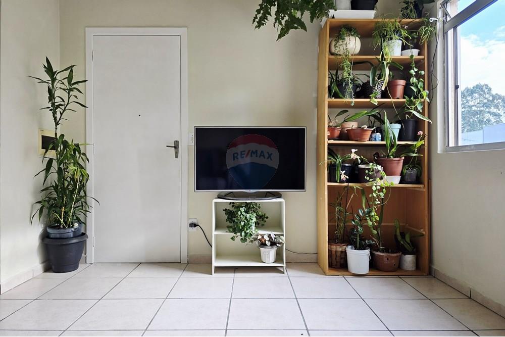 Apartamento - Venda - São José dos Pinhais , Paraná - IMG-20250715-WA0071.jpg - 560411027-25