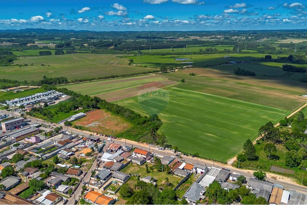Terreno - Venda - São José dos Pinhais , Paraná - DJI_0377_1.jpg - 560391051-19