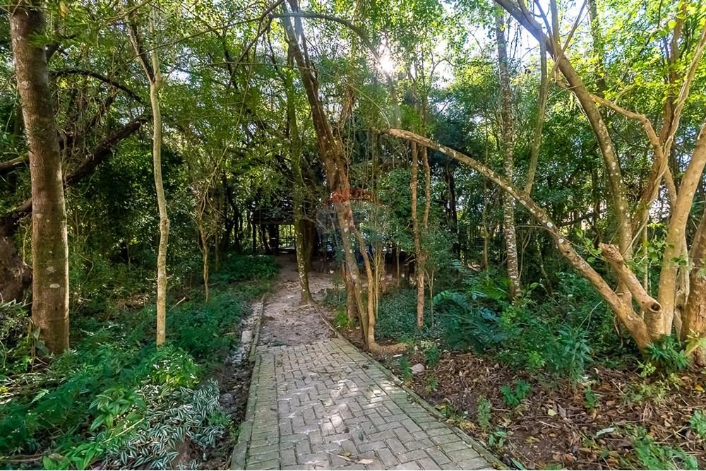 Apartamento - Venda - Curitiba , Paraná - ProfPedroVPdeSouza-73.jpg - 560311047-425