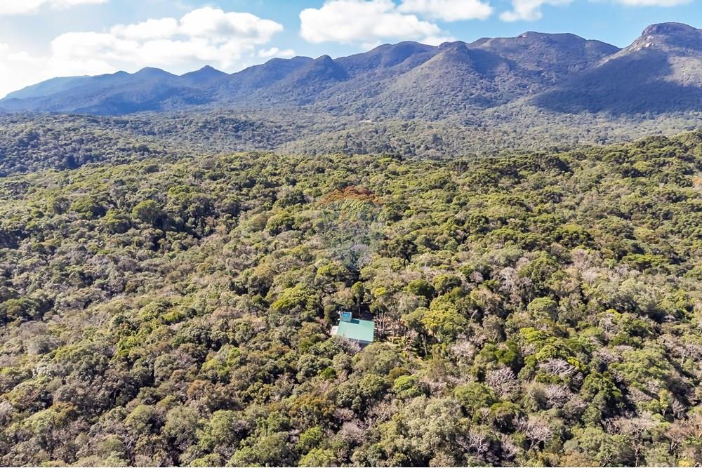 Chácara / Sítio / Fazenda - Venda - Piraquara , Paraná - DJI_0510_1 (1).jpg - 560431012-39