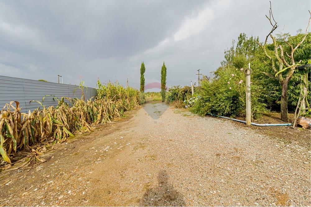 Chácara / Sítio / Fazenda - Alugar - Fazenda Rio Grande , Paraná - IMG_9380.jpg - 560391075-16