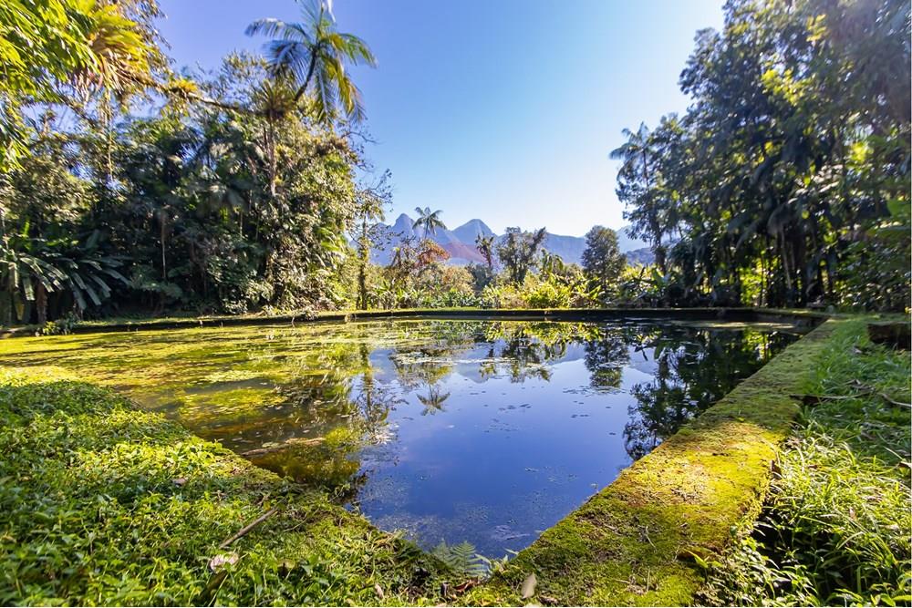 Chácara / Sítio / Fazenda - Venda - Antonina , Paraná - IMG_4799.jpg - 560411008-83